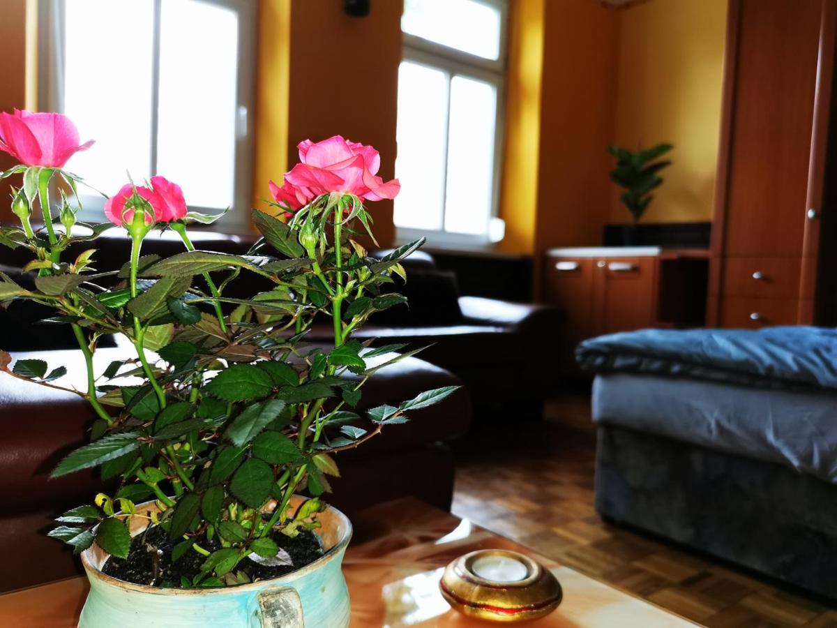 קסזטלי Lehel Apartman מראה חיצוני תמונה